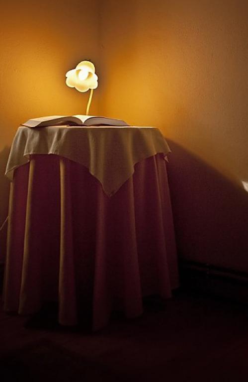 El Camino Real II * Guest House Poo  Room photo